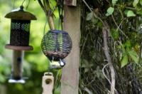 Bird feeders in garden