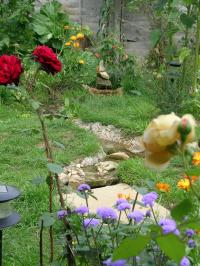 Small stream in a garden