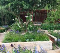 The Morris and Co. Garden at the RHS Chelsea Flower Show 2022
