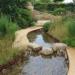 RHS Hampton Court 2016 - The Zoflora: Outstanding Natural Beauty Garden