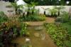 RHS Hampton Court 2008 - The National Year of Reading Garden