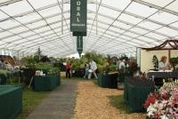 Hampton Court Floral Marquee