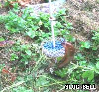 Slug Bell