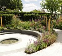 The Cancer Research Garden at the 2019 RHS Hampton Court flower show