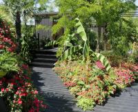 The B & Q Bursting Busy Lizzie Garden at the 2018 RHS Hampton Court flower show