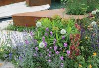 The BBC Studios Our Green Planet and RHS Bee Garden at the 2022 RHS Chelsea flower show