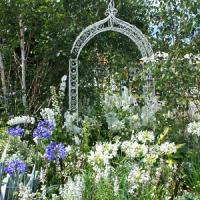 Episode 17:  Hampton Court Flower Show Interviews & Gardening Jobs for August